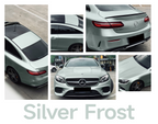 Silver Frost