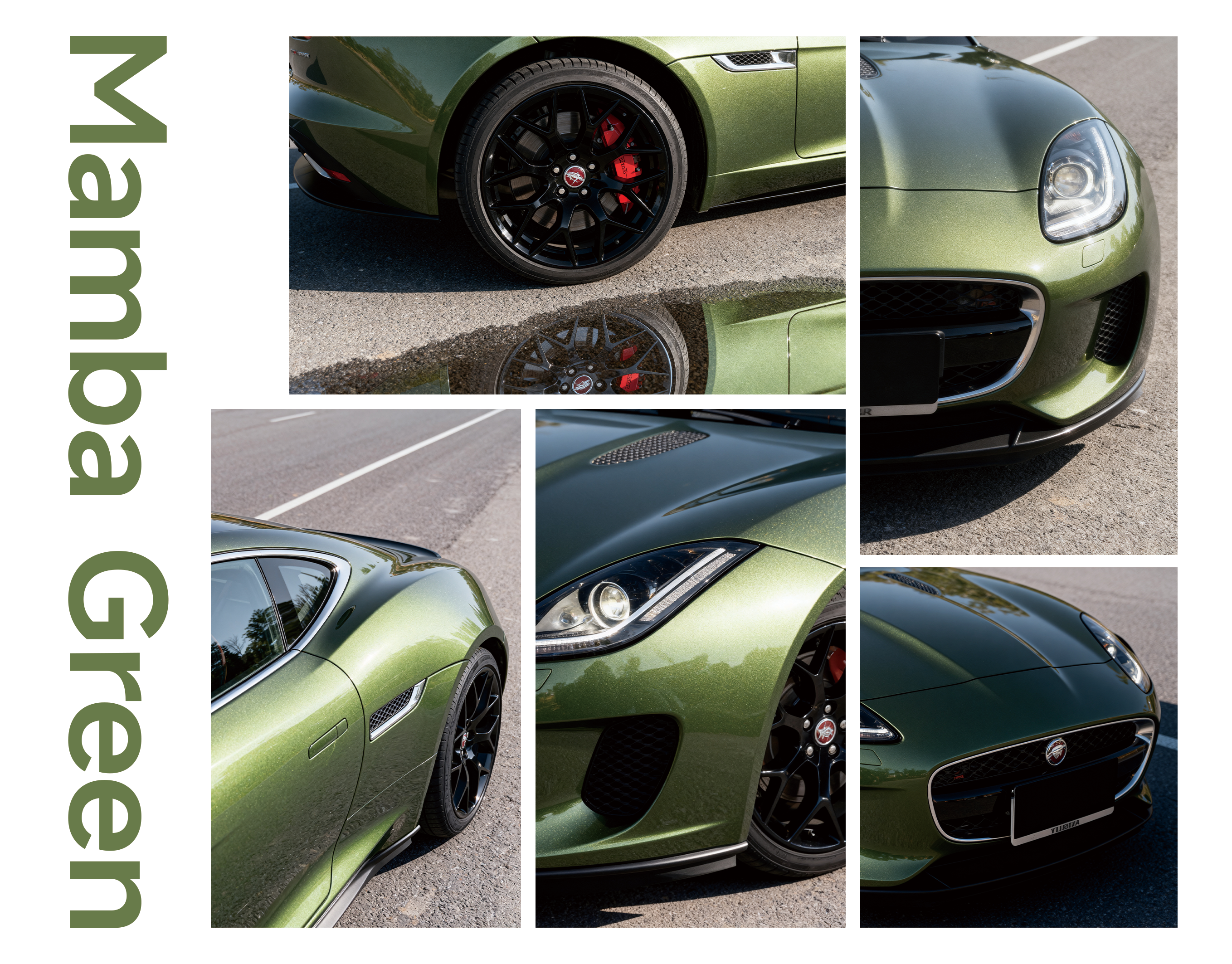 Mamba Green