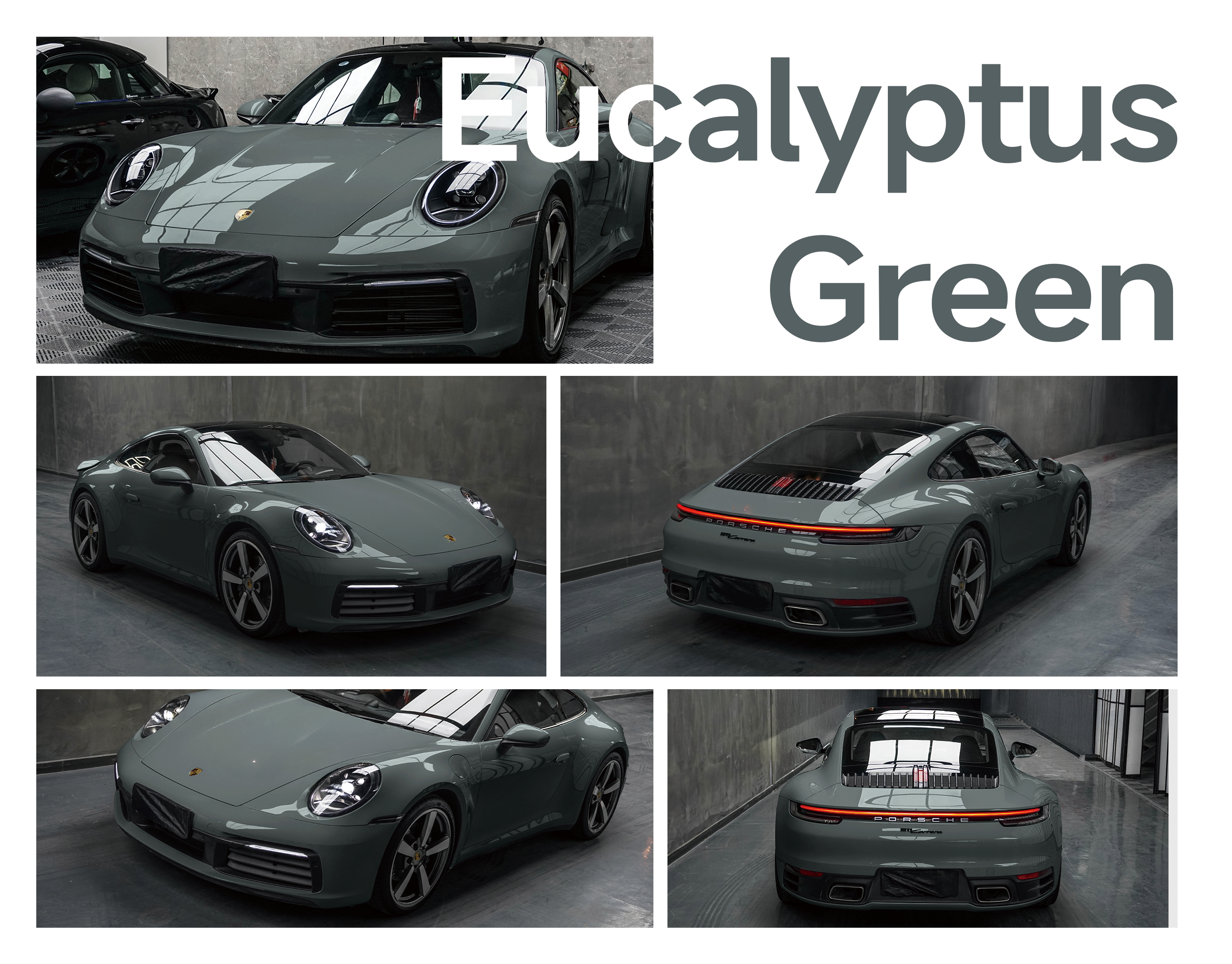 Eucalyptus Green