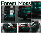 Forest Moss