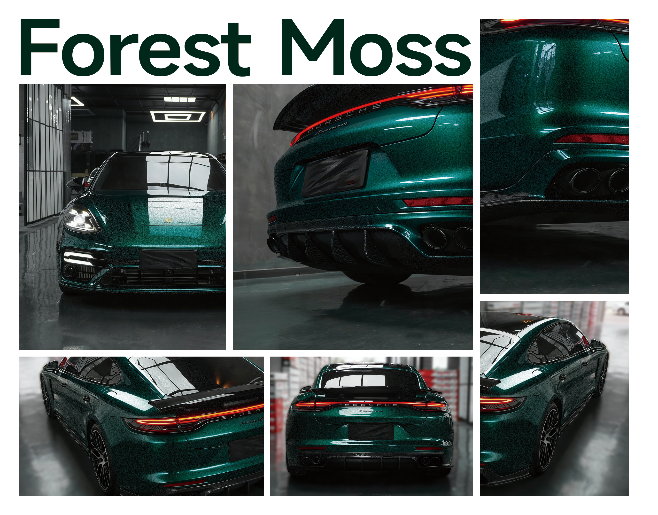 Forest Moss
