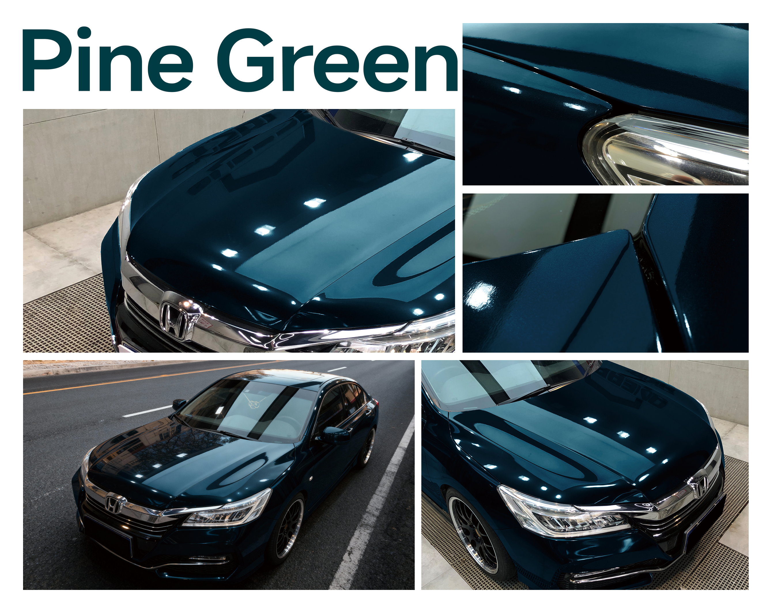 Pine Green