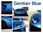 Gentian Blue