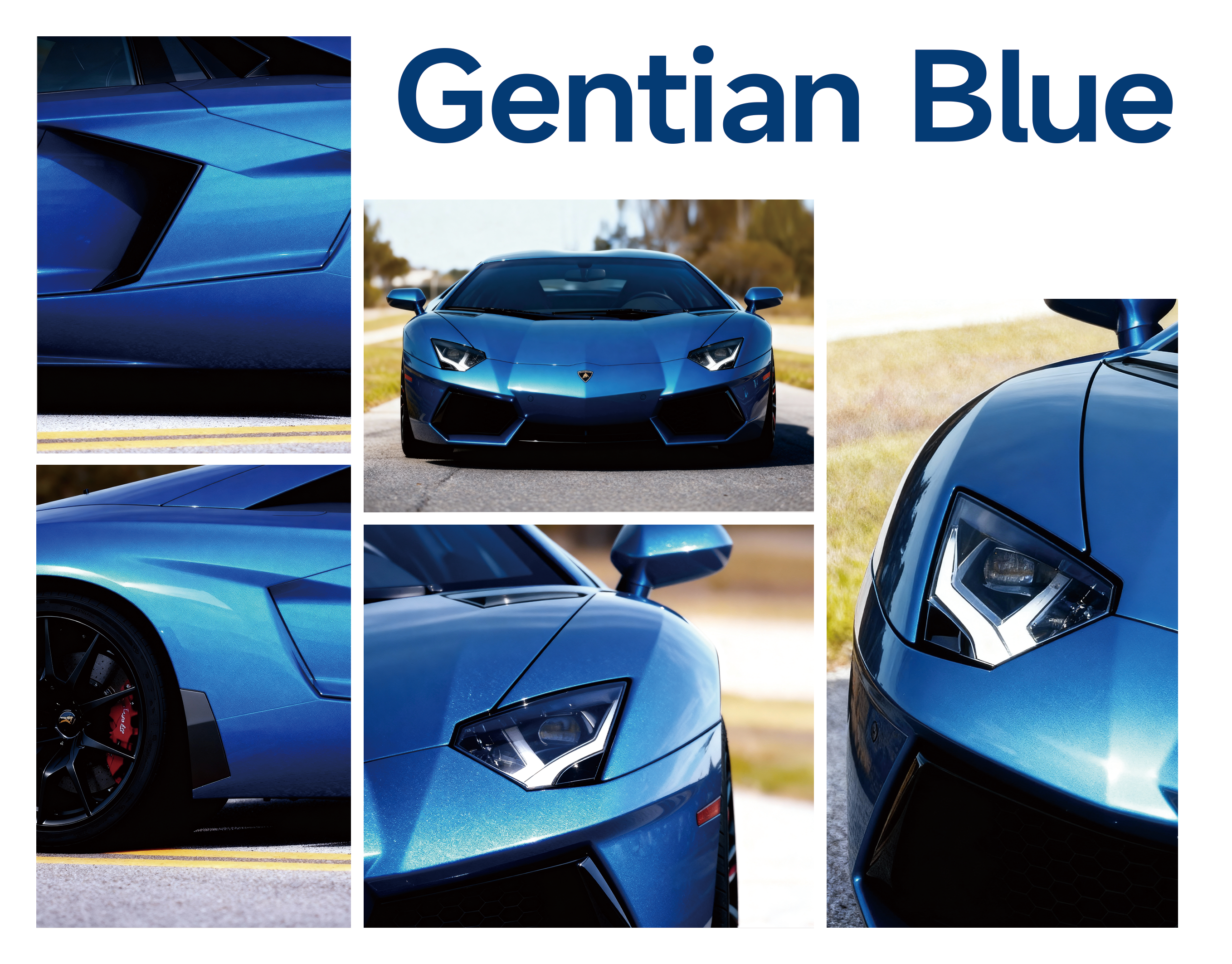 Gentian Blue