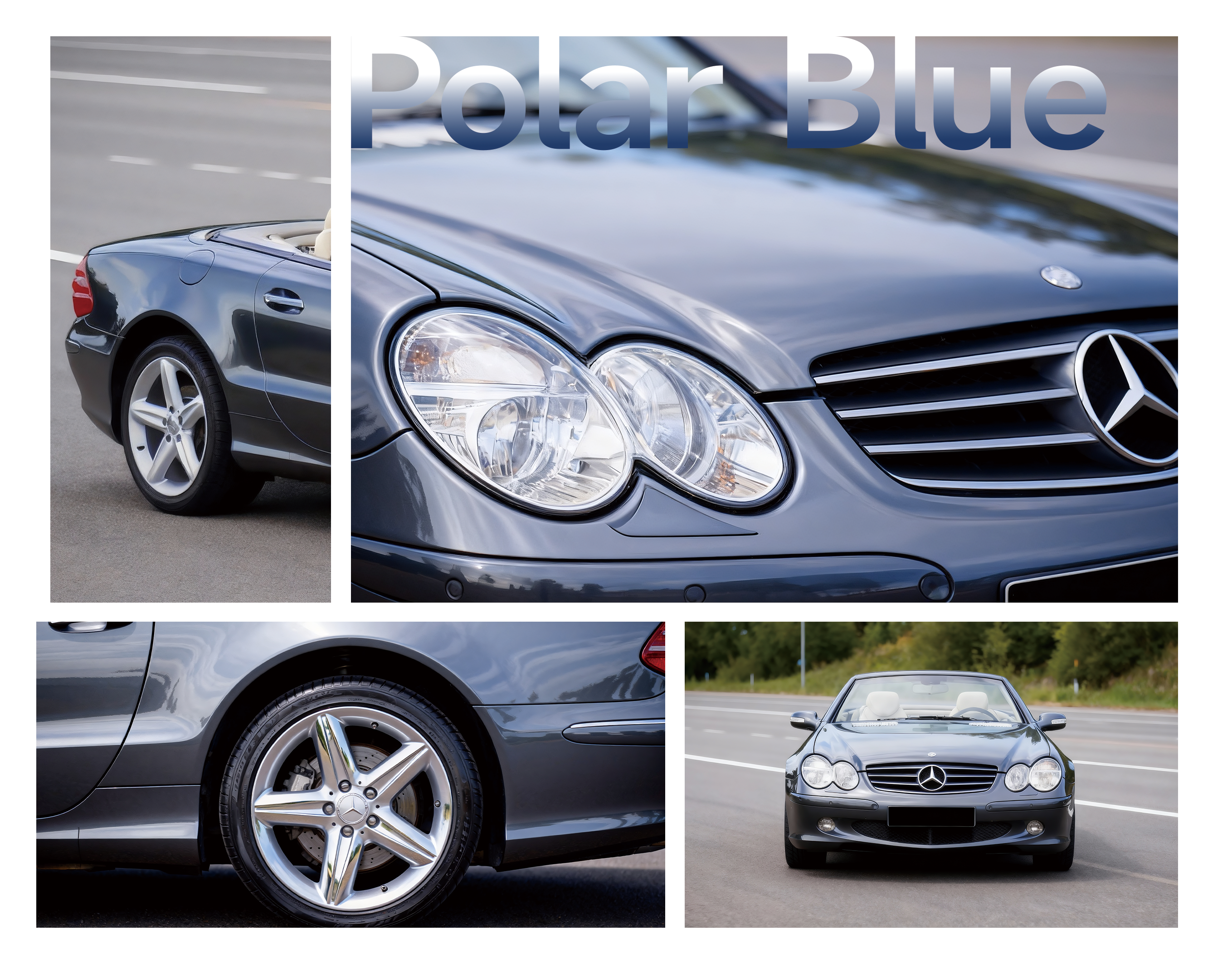Polar Blue