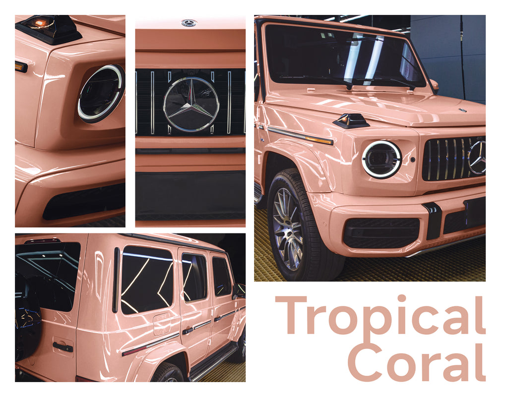 Tropical Coral
