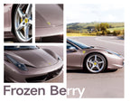 Frozen Berry