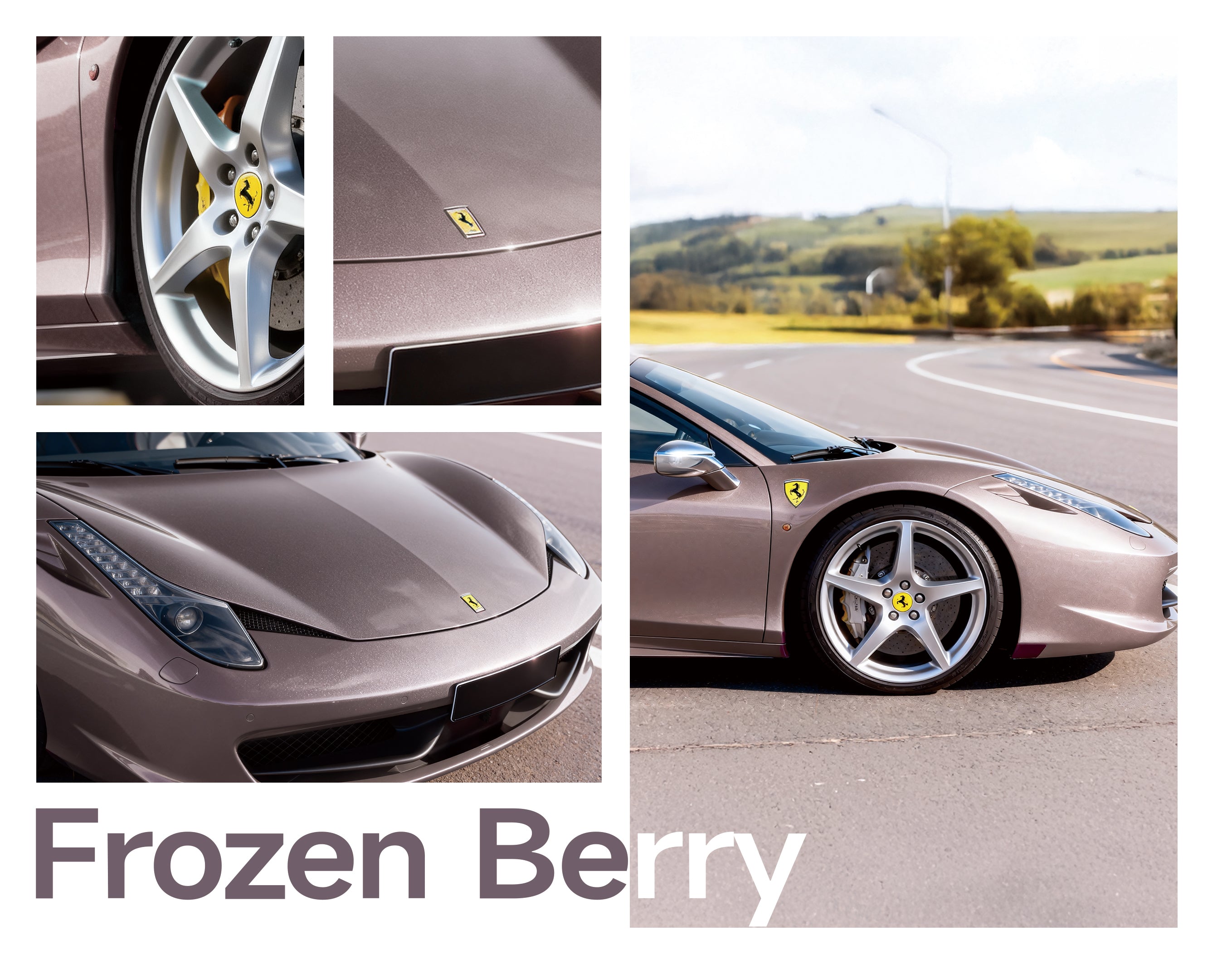 Frozen Berry