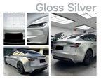 Gloss Silver