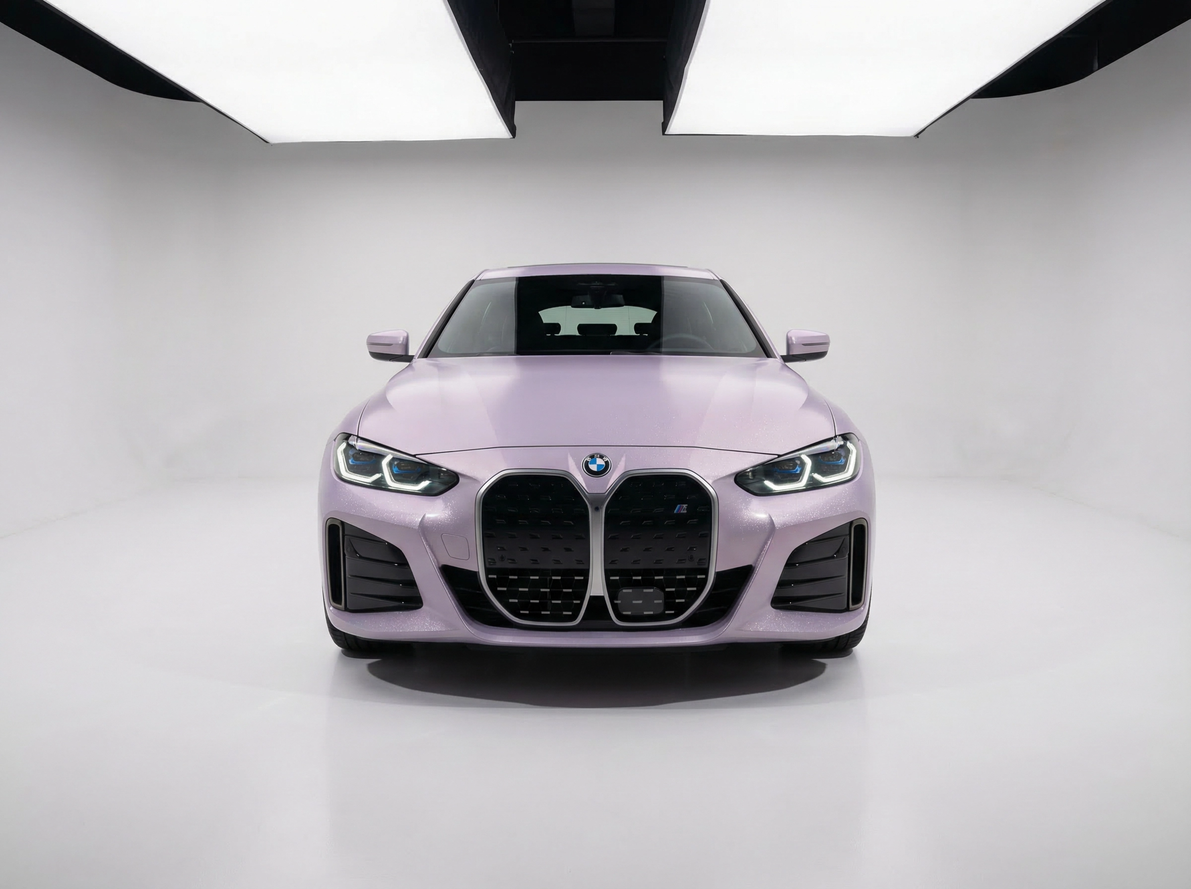Rosy Purple