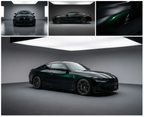 Black Fash Green