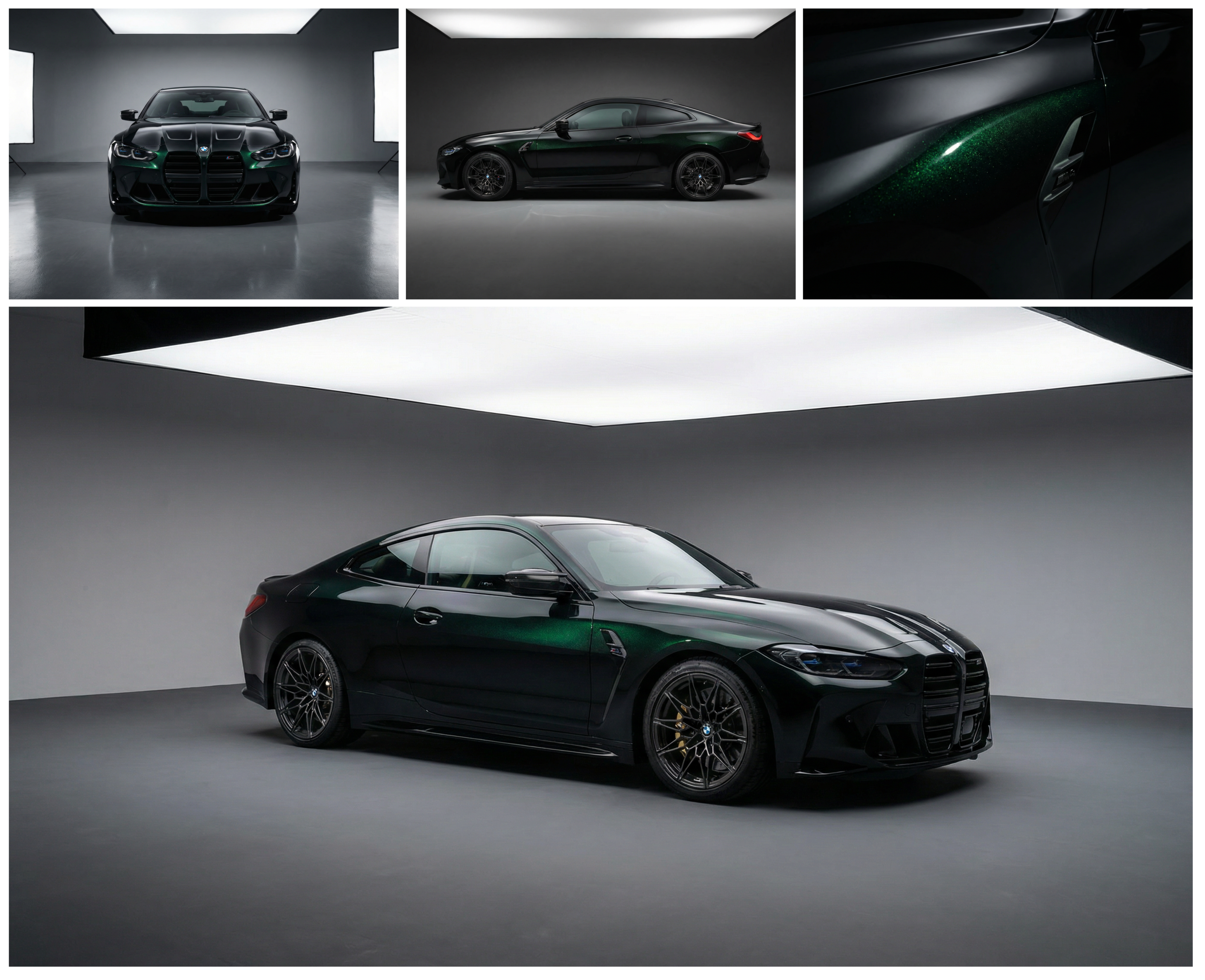 Black Fash Green