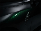 Black Fash Green