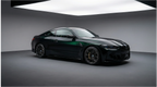 Black Fash Green