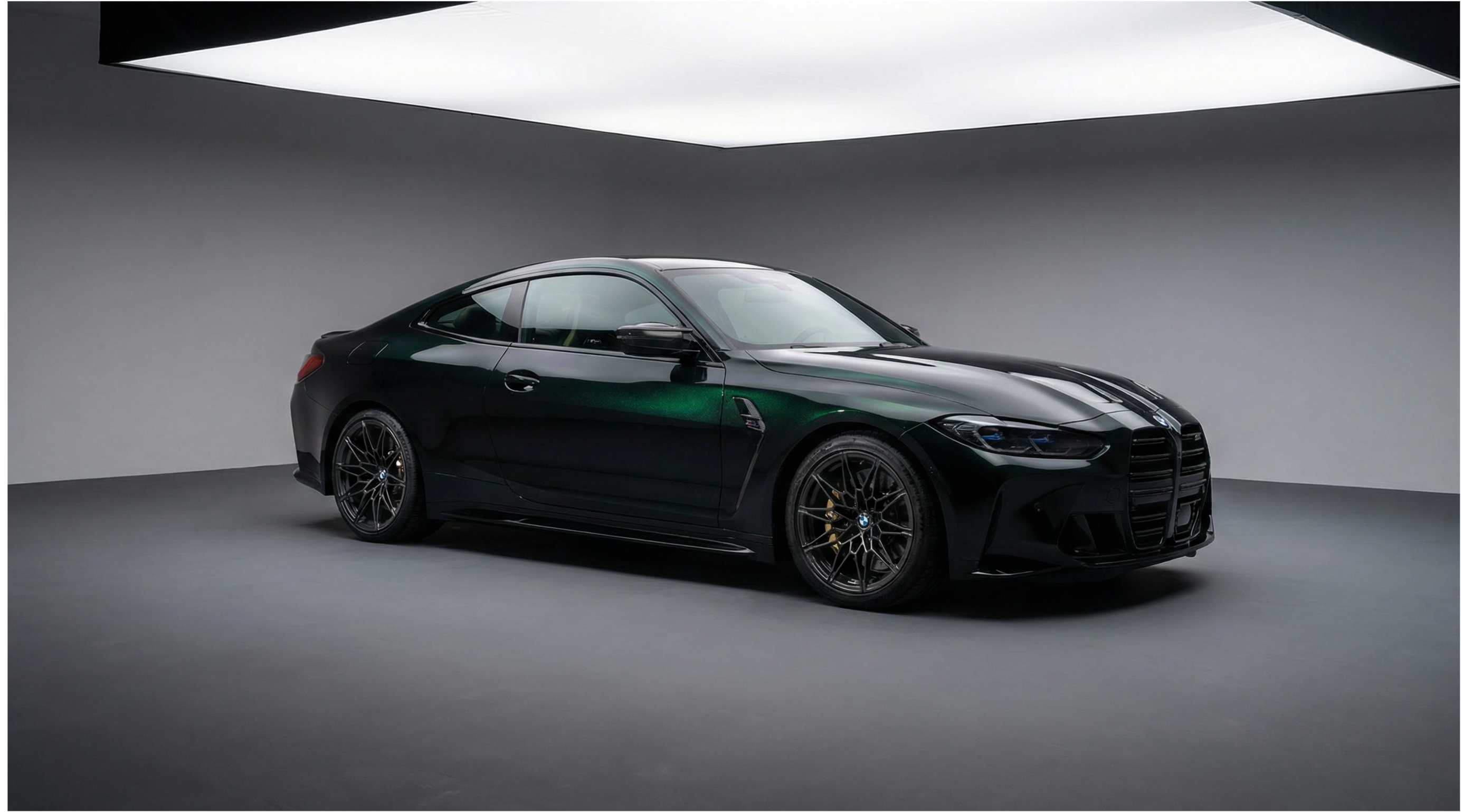 Black Fash Green