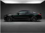 Black Fash Green