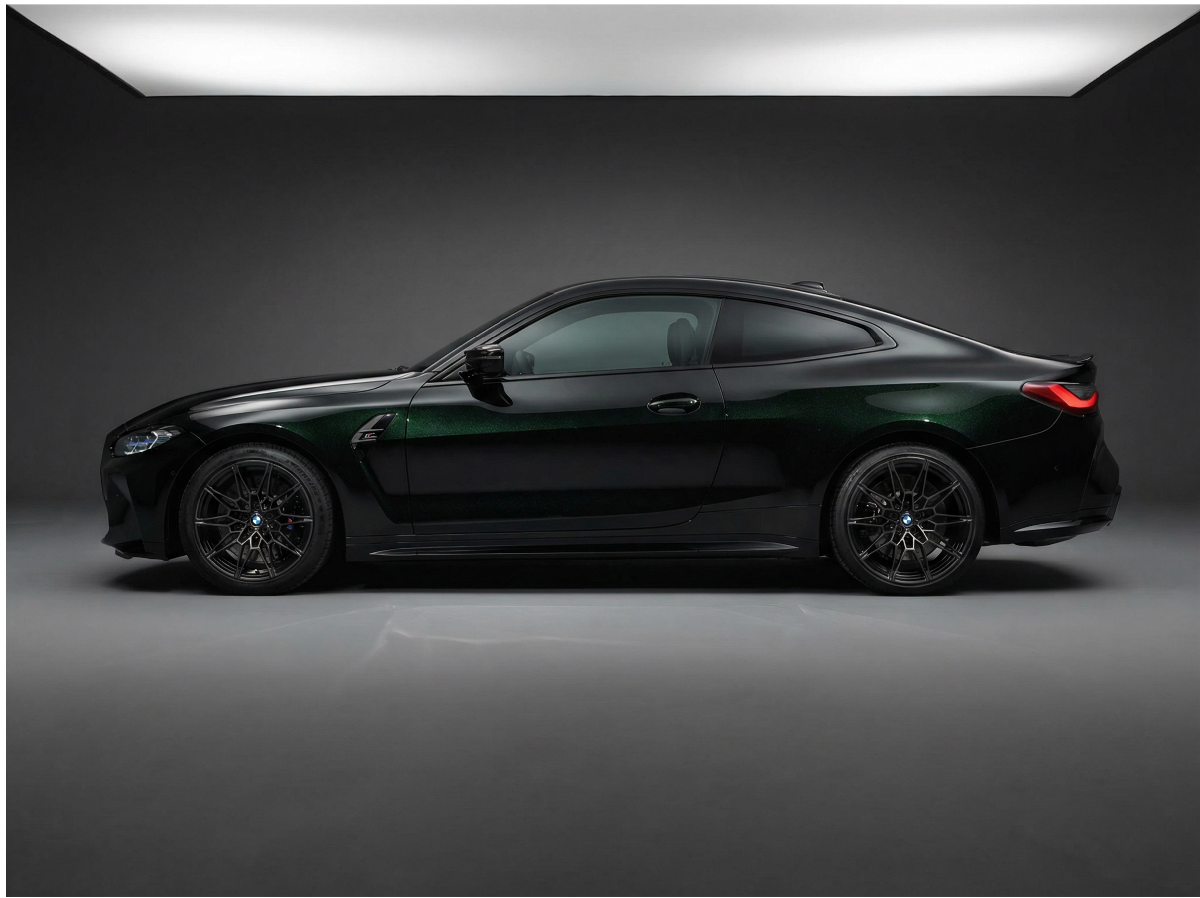 Black Fash Green