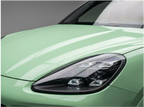 Porsche Grayish Green