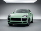 Porsche Grayish Green