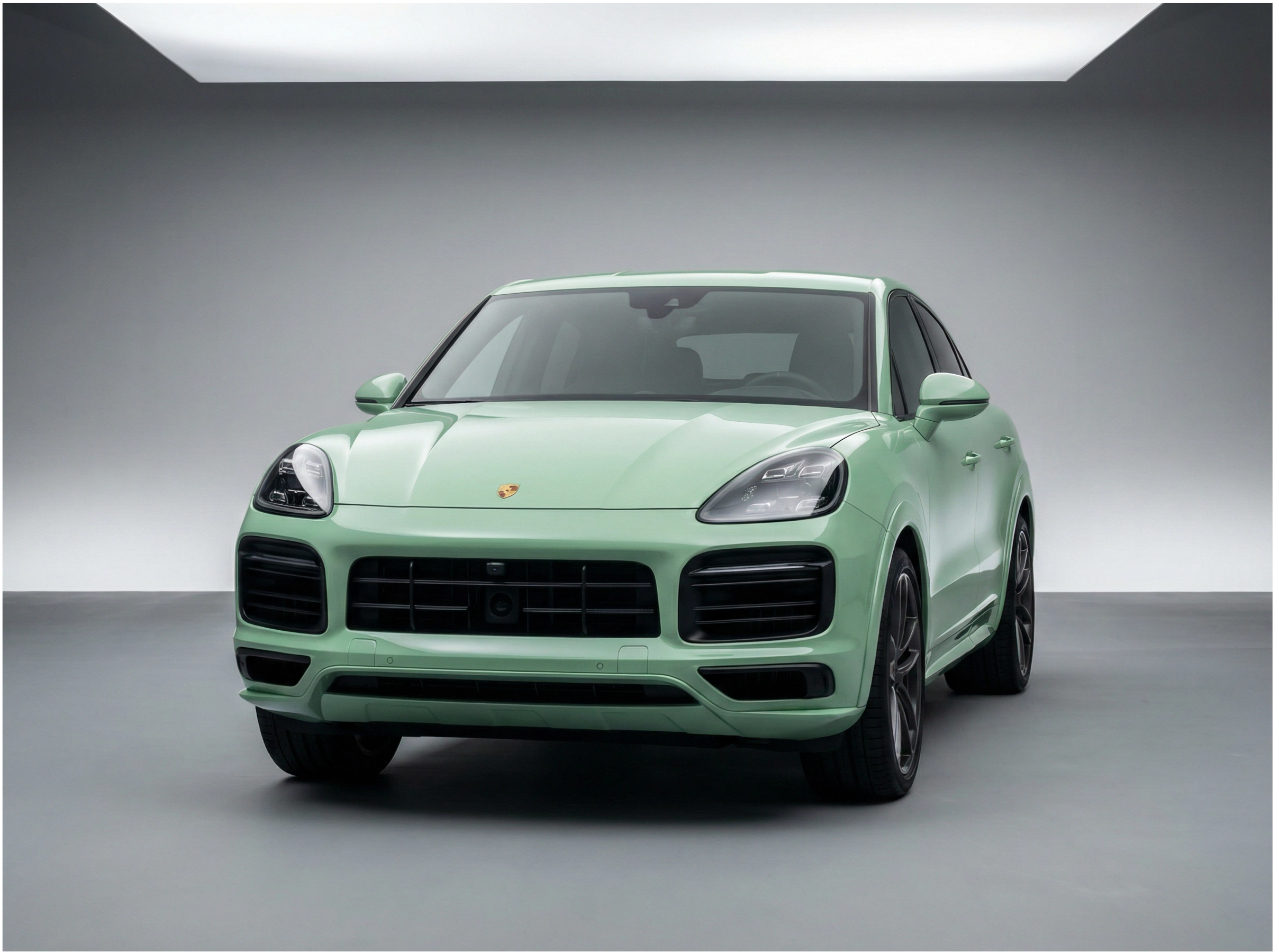 Porsche Grayish Green