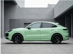 Porsche Grayish Green
