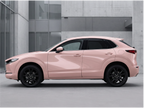 Seashell Pink