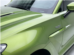 Dark Green Pearl