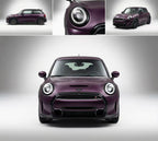 Point Noir Purple