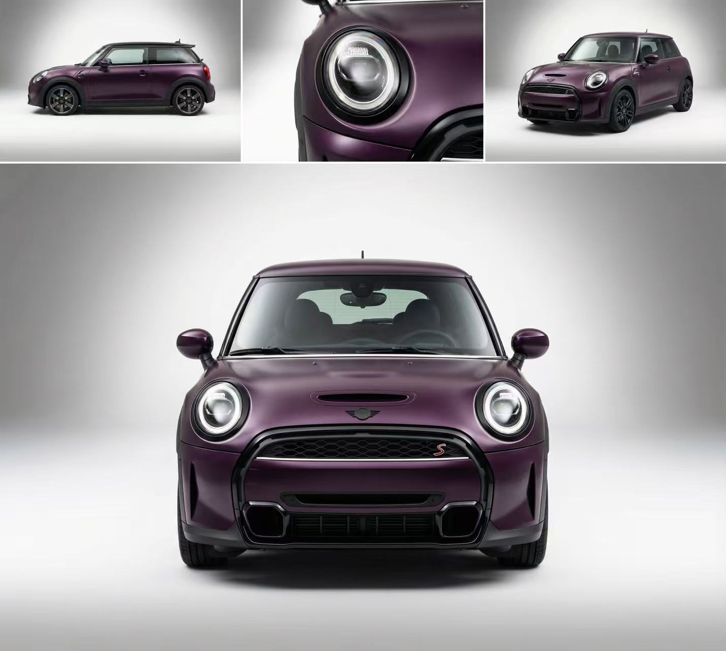 Point Noir Purple