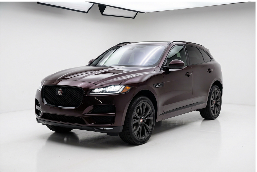Jaguar Black Rose