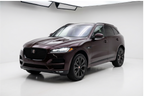 Jaguar Black Rose