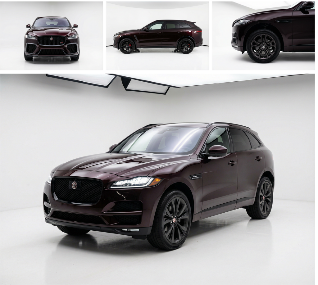 Jaguar Black Rose