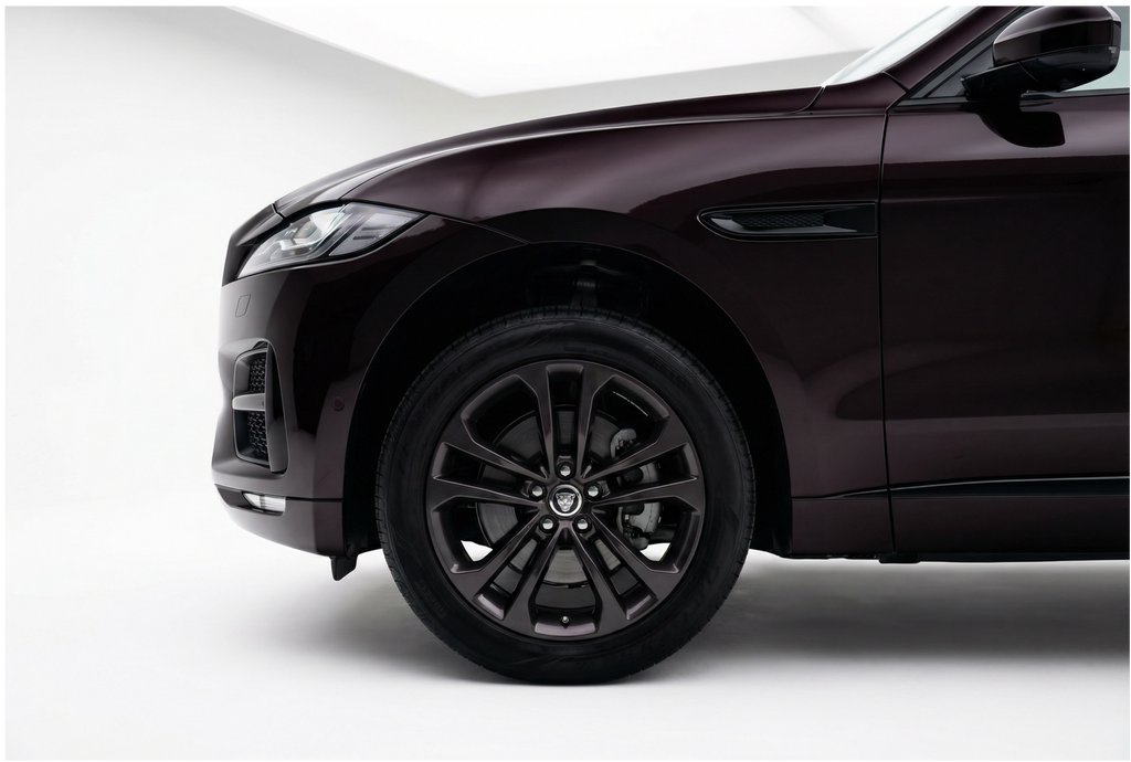 Jaguar Black Rose