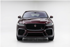 Jaguar Black Rose