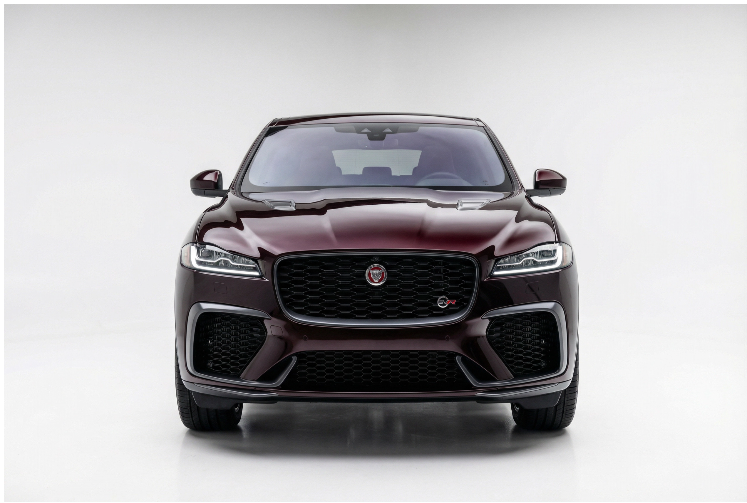 Jaguar Black Rose
