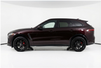 Jaguar Black Rose