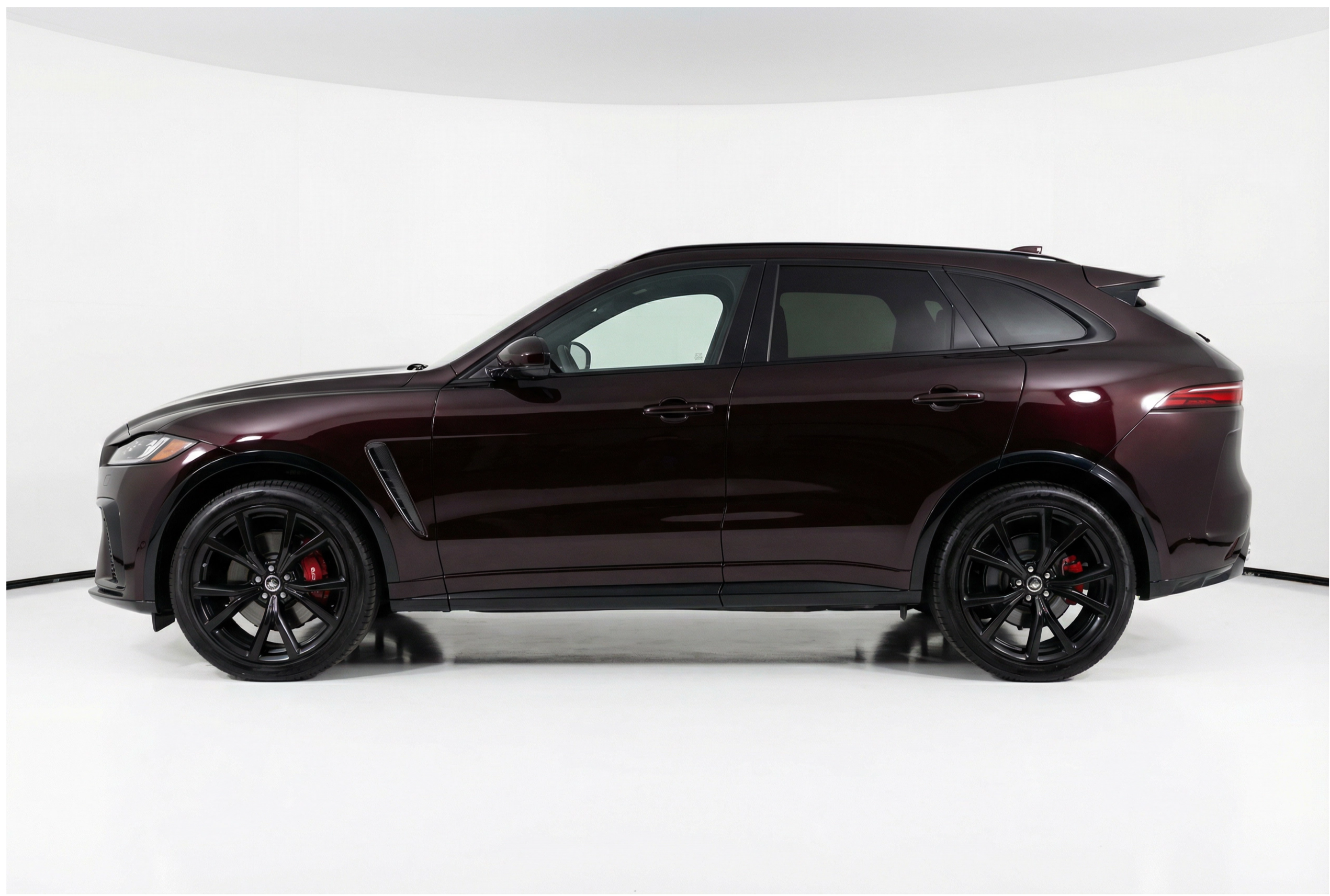 Jaguar Black Rose
