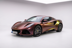 Matte Langya Purple Gold