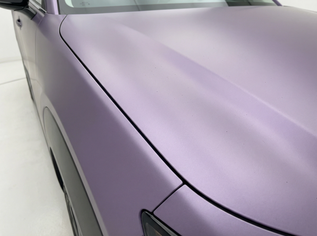 Victoria Purple