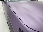 Victoria Purple