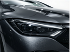 Liquid Leaden Gray