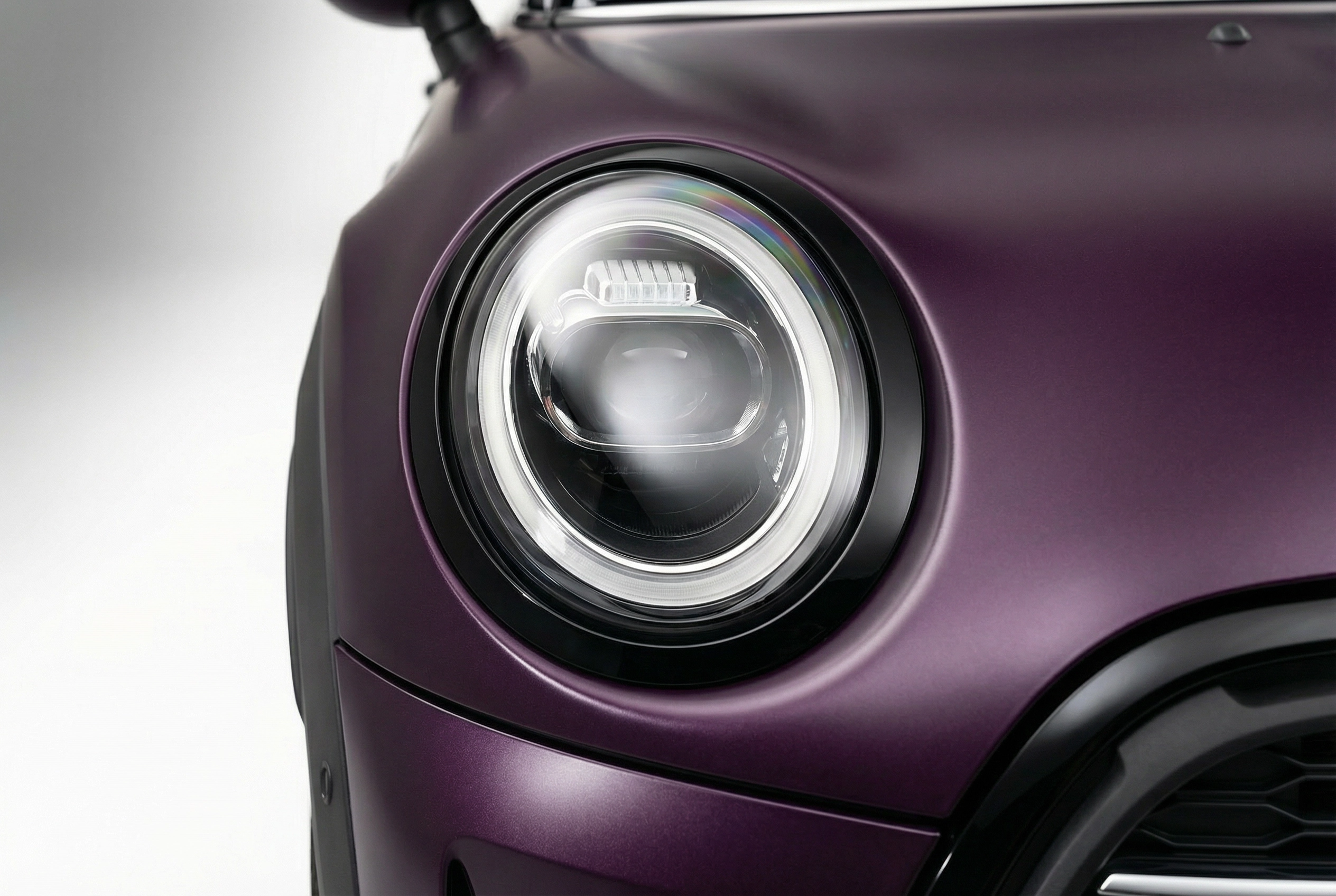 Point Noir Purple