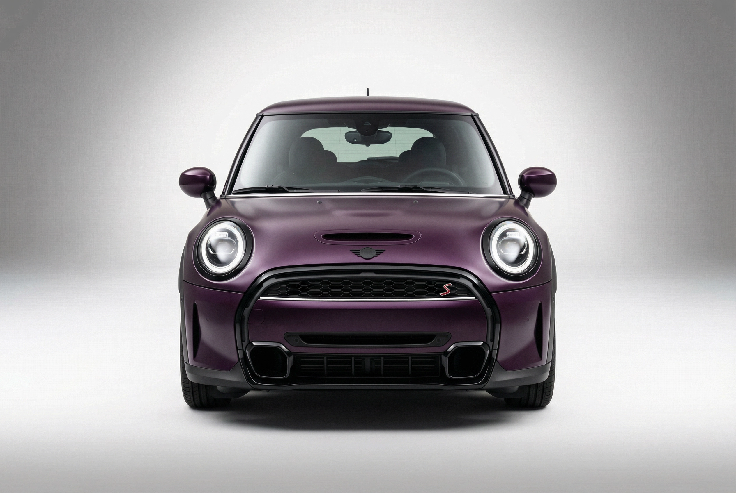 Point Noir Purple