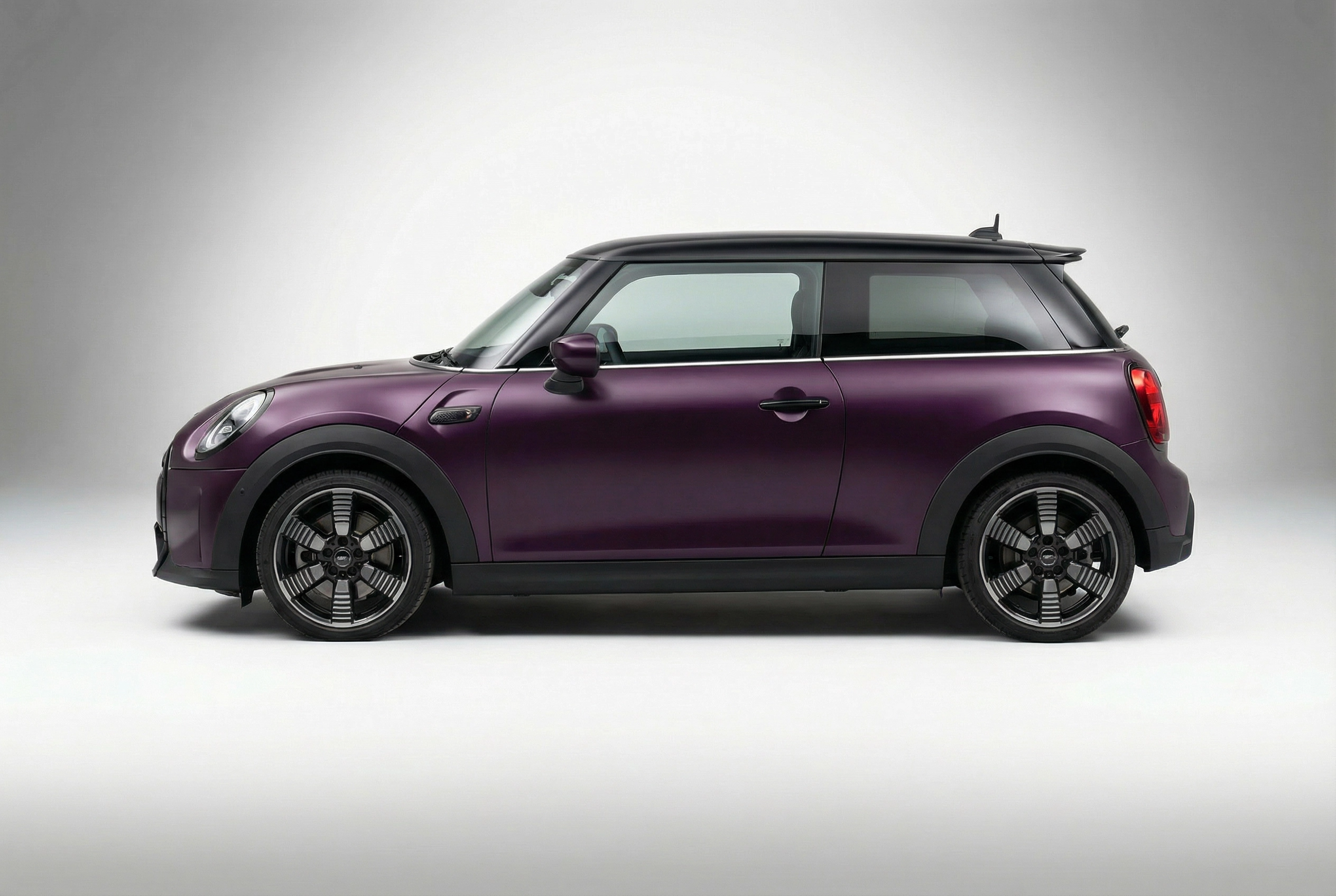 Point Noir Purple