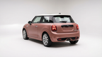 Oolong Milk Tea pink