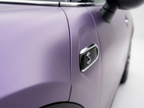 Rosemary Purple