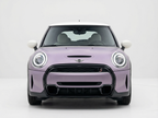 Rosemary Purple