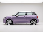 Rosemary Purple