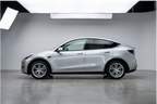 GT Silver Pearl