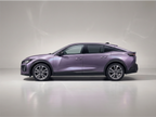 Silver Purple Metallic